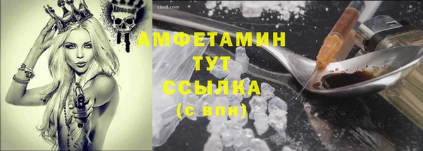 ГАЛЛЮЦИНОГЕННЫЕ ГРИБЫ Вяземский