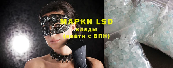 ГАЛЛЮЦИНОГЕННЫЕ ГРИБЫ Вяземский