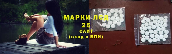 ГАЛЛЮЦИНОГЕННЫЕ ГРИБЫ Вяземский