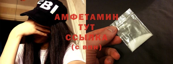 индика Вязники