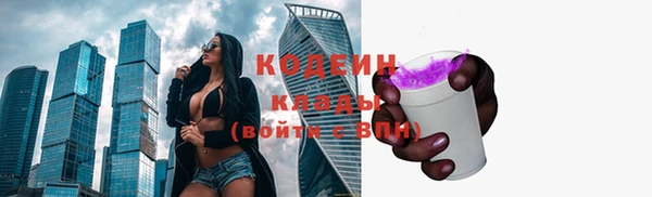 индика Вязники