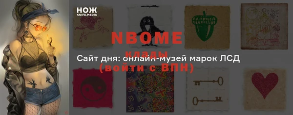 индика Вязники