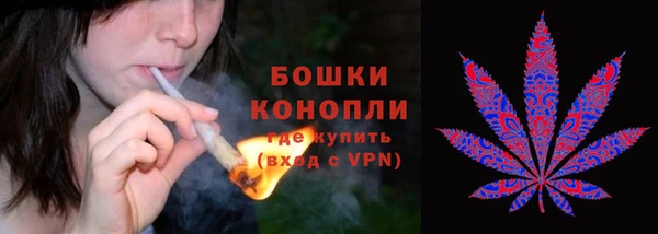 ГАЛЛЮЦИНОГЕННЫЕ ГРИБЫ Вяземский