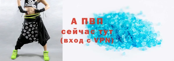 ГАЛЛЮЦИНОГЕННЫЕ ГРИБЫ Вяземский