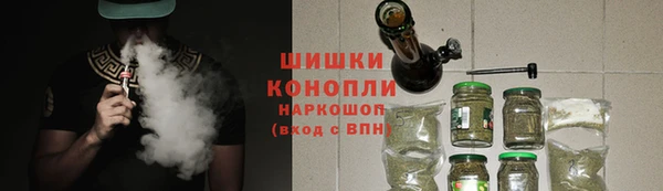 индика Вязники