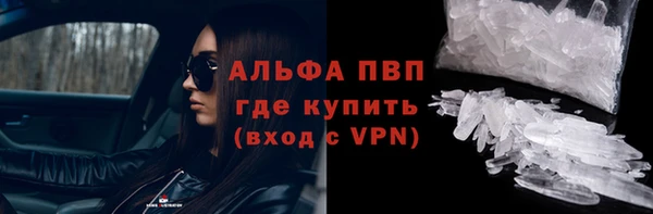 ГАЛЛЮЦИНОГЕННЫЕ ГРИБЫ Вяземский