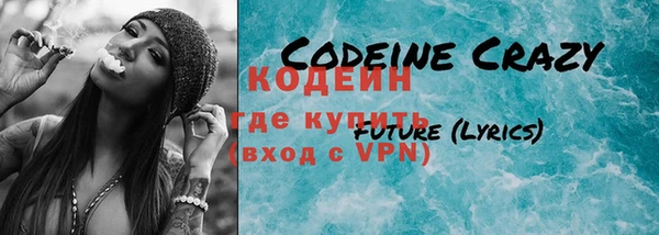 индика Вязники