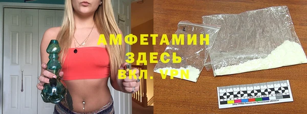 ГАЛЛЮЦИНОГЕННЫЕ ГРИБЫ Вяземский