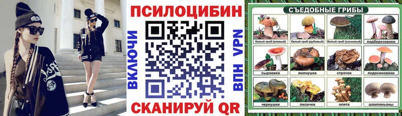Псилоцибиновые грибы мицелий  Каменск-Шахтинский 